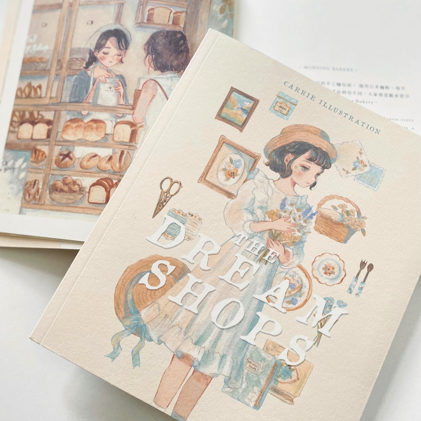 The Dream Shops Art Book