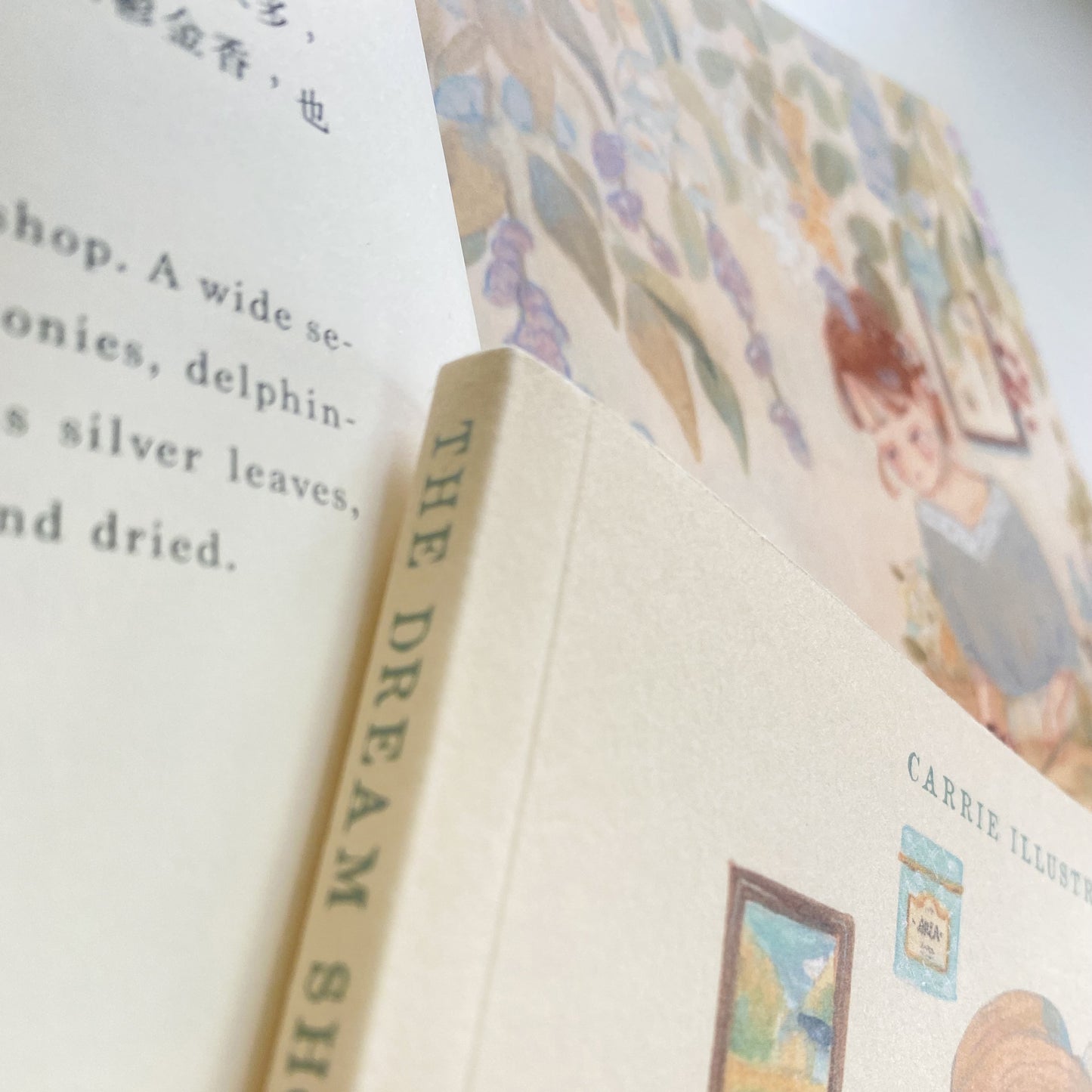 The Dream Shops Art Book