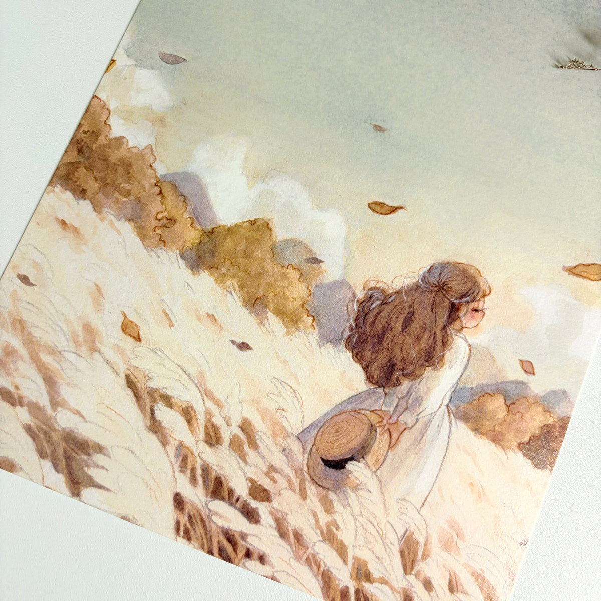 Print of Fields of Dawn